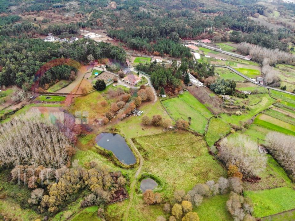 Farm i Viseu, Viseu - foto 2