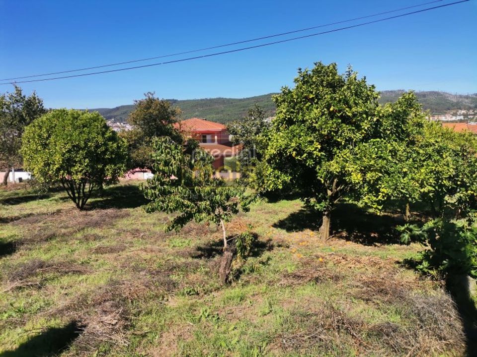 Terra a Mogege, Braga - foto 2