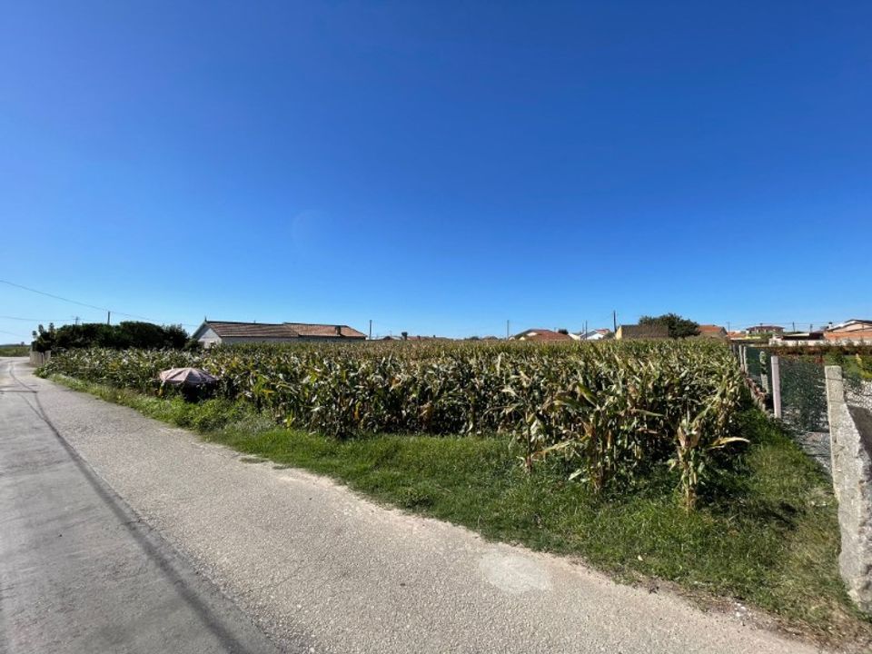 Helårsgrund i Murtosa, Aveiro - foto 1