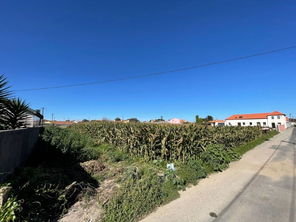 Helårsgrund i Murtosa, Aveiro - foto 2