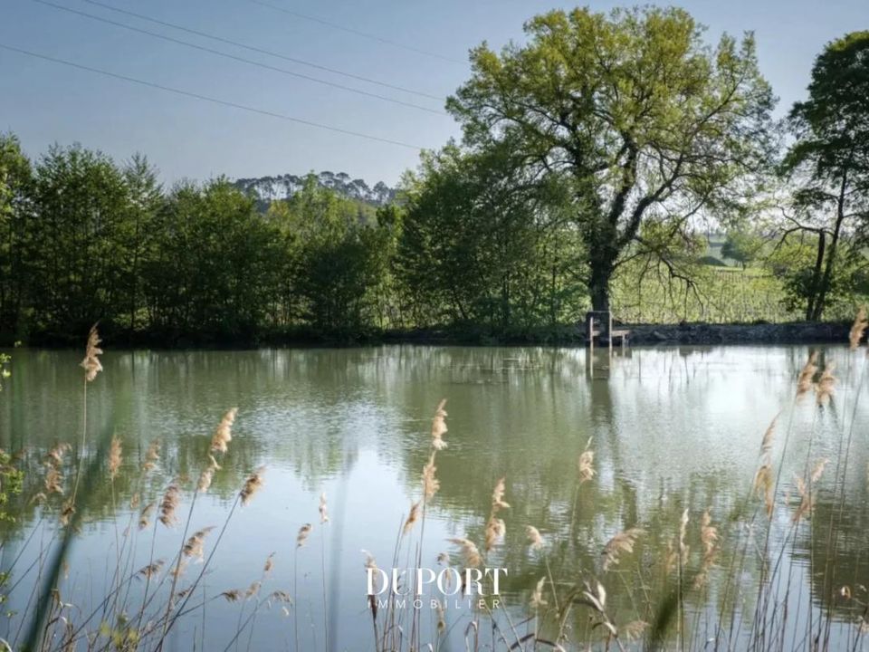 Farm i Bordeaux, Gironde - foto 5
