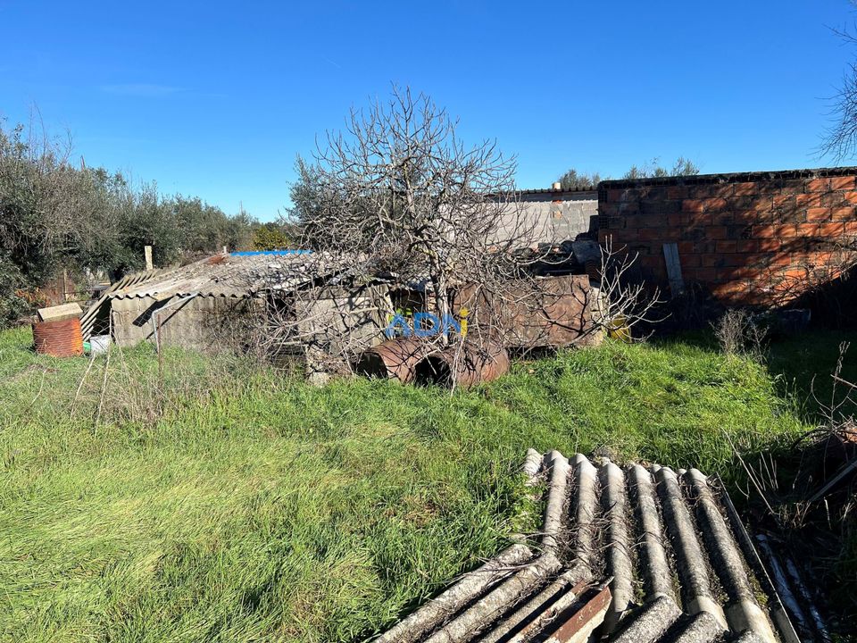 Farm hus i Escalos de Cima e Lousa, Castelo Branco - foto 4