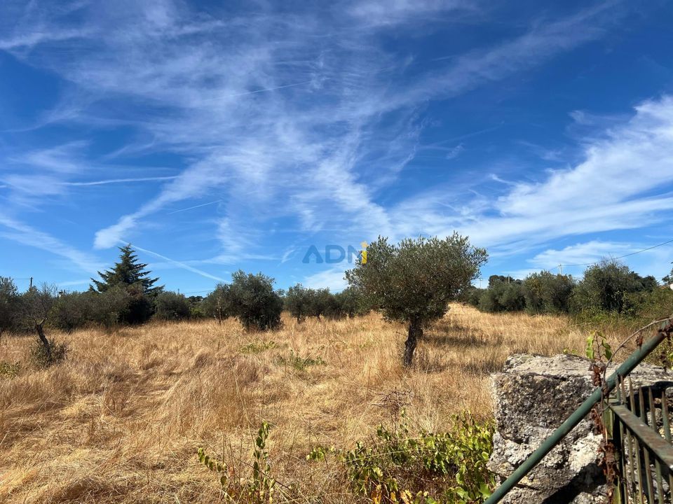 Helårsgrund i Castelo Branco, Castelo Branco - foto 4