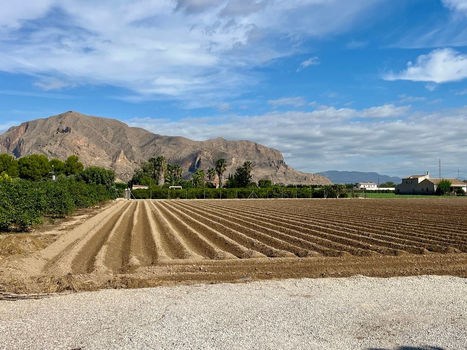 Villa i Orihuela, Alicante - foto 3