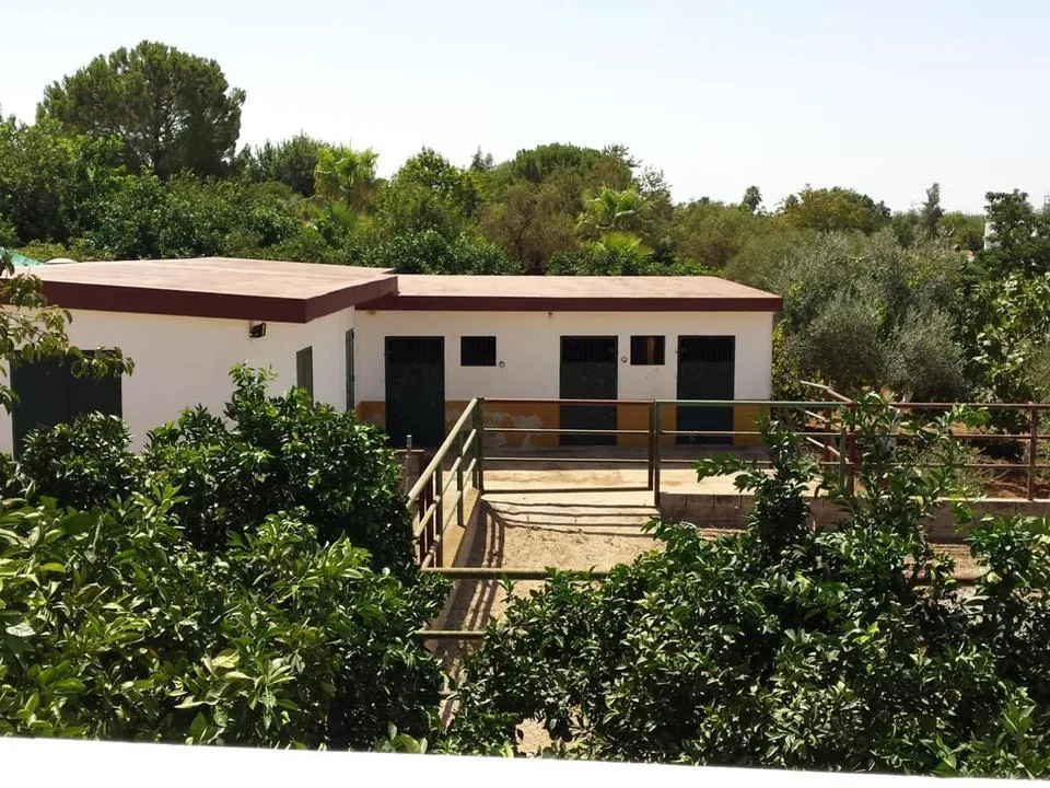 Villa i Sevilla, Sevilla - bilde 4