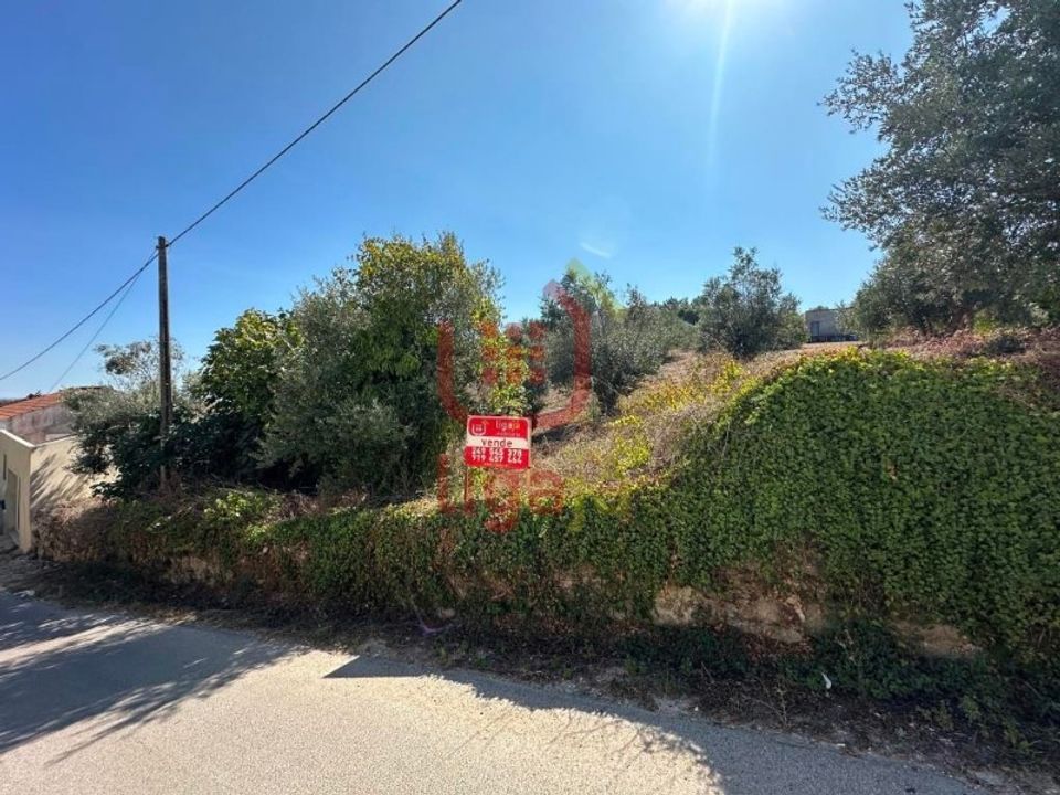 Helårsgrund i Ourem, Santarem - foto 1