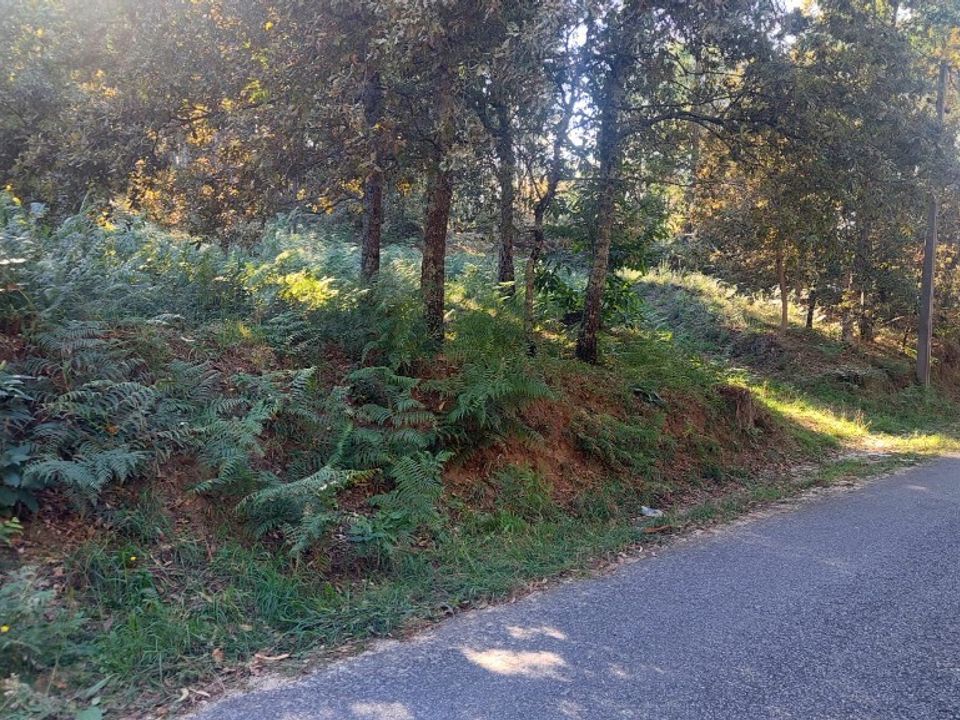 Helårsgrund i Amares, Braga - foto 1