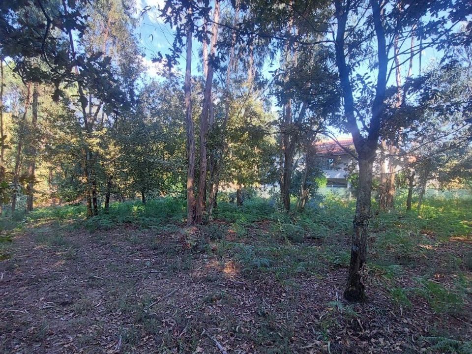 Helårsgrund i Amares, Braga - foto 3