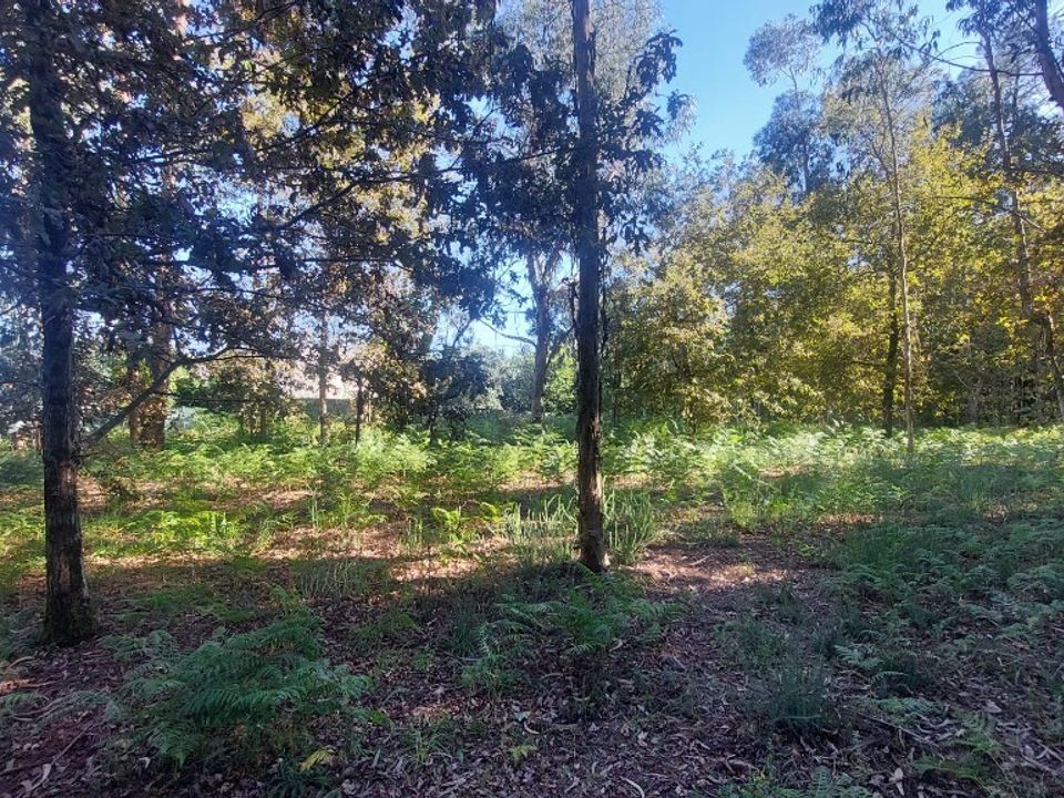 Helårsgrund i Amares, Braga - foto 5