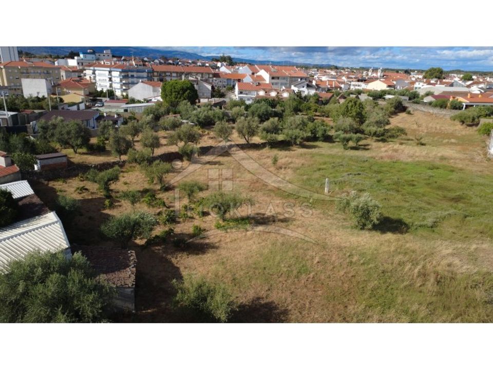Terra a Alcains, Castelo Branco - foto 1