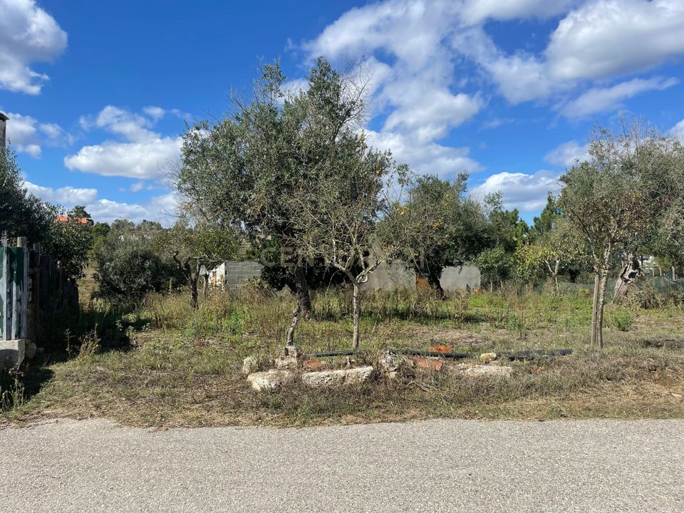 Helårsgrund i Abrantes, Santarem - foto 2