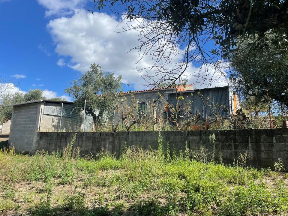 Helårsgrund i Abrantes, Santarem - foto 1