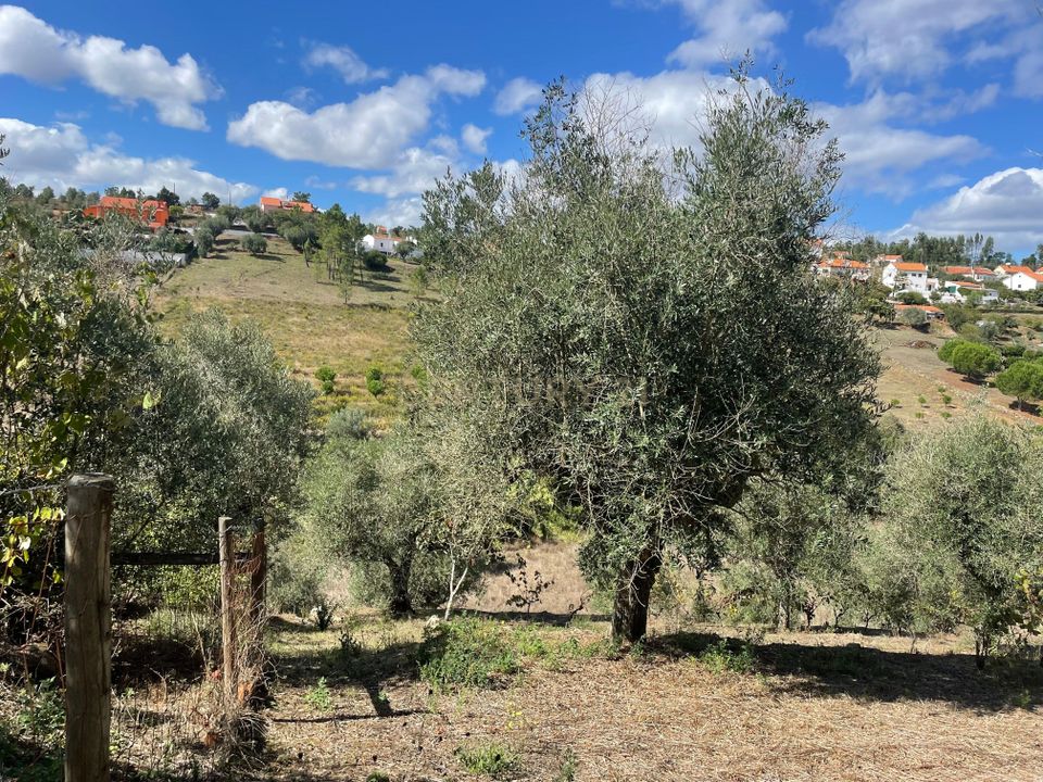 Helårsgrund i Abrantes, Santarem - foto 4
