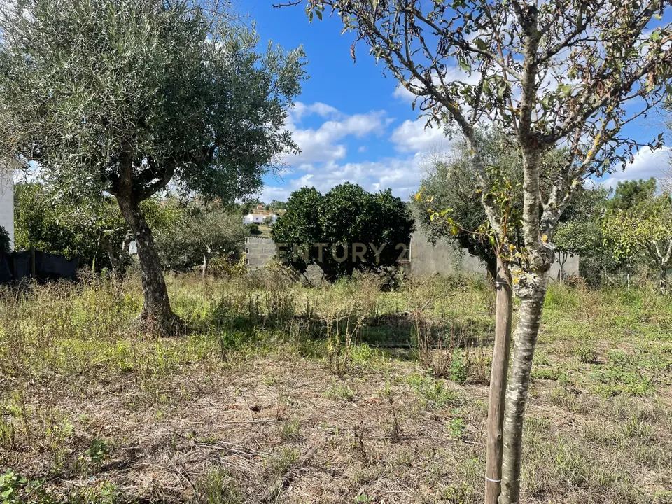 Helårsgrund i Abrantes, Santarem - foto 5
