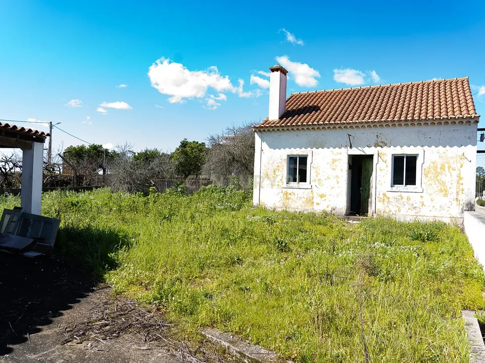 Villa i Abrantes, Santarem - foto 4