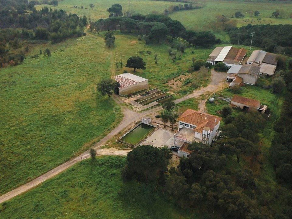 Masia a Santarem, Santarem - foto 4