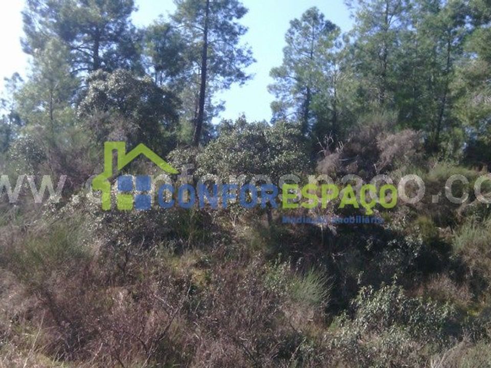 Helårsgrund i Castelo Branco, Castelo Branco - foto 5