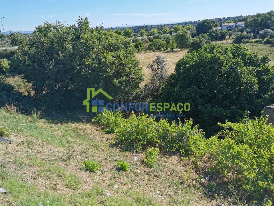 Helårsgrund i Castelo Branco, Castelo Branco - foto 2
