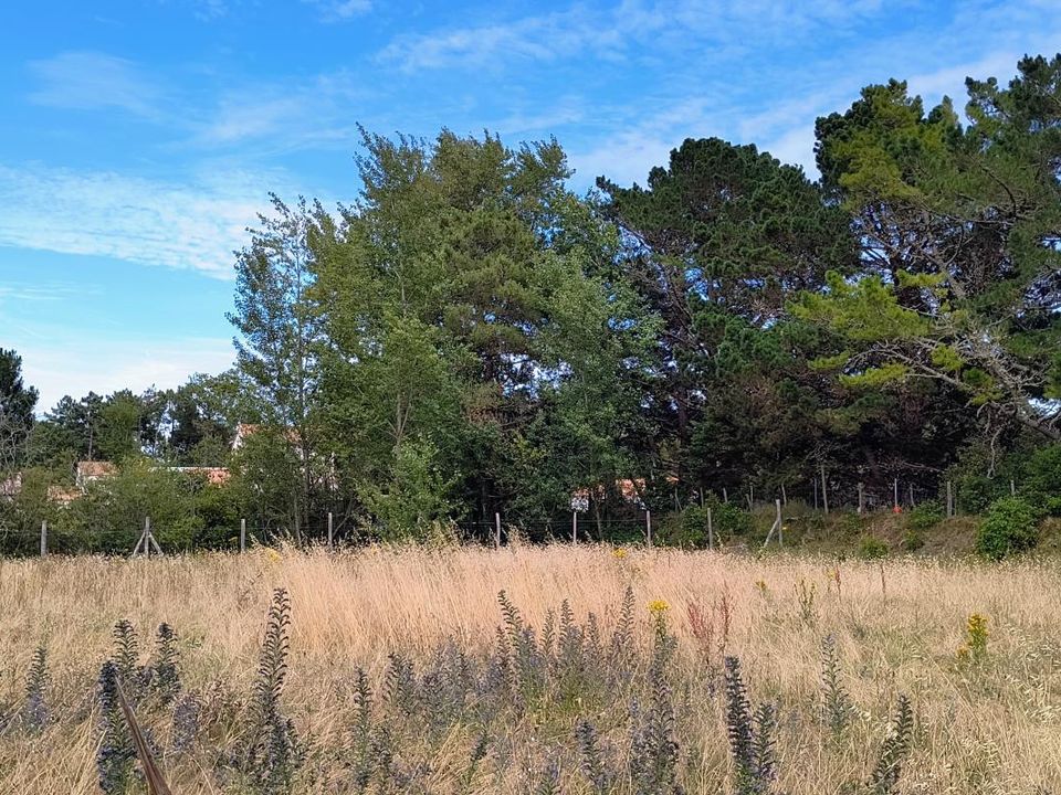 Villa i Saint-Jean-de-Monts, Vendee - foto 3