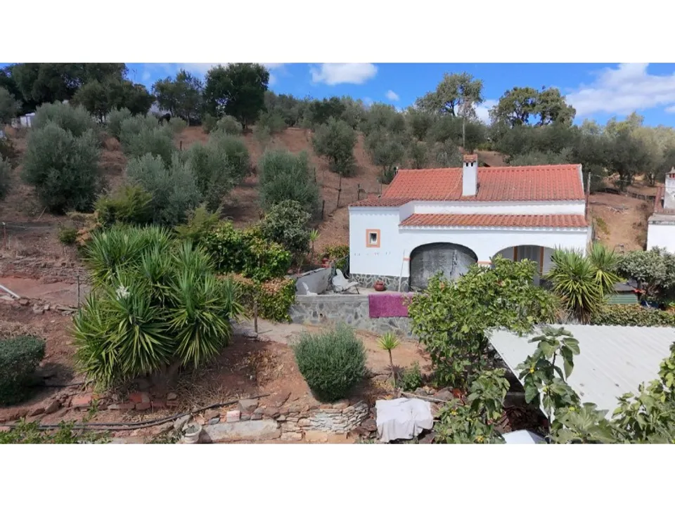 Farm i Rio de Moinhos, Porto - foto 2