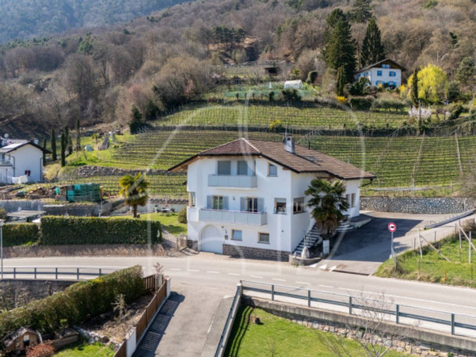 Villa i Caldaro sulla Strada del Vino, South Tyrol - bilde 3