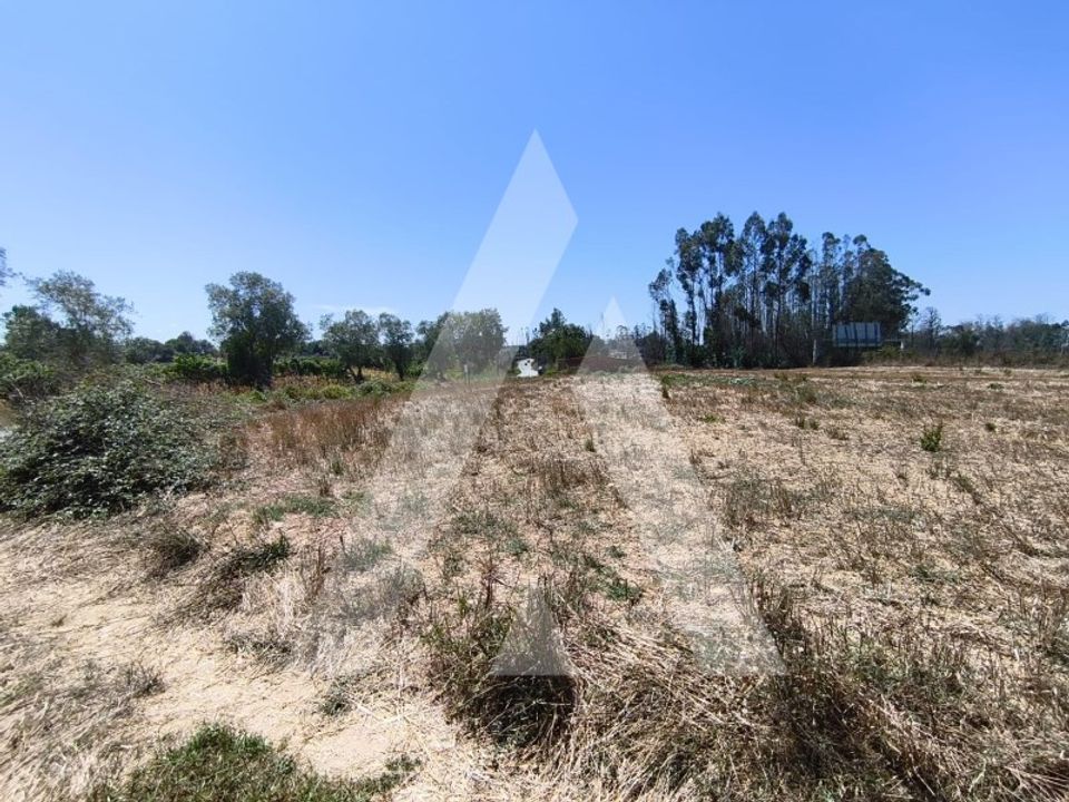 Helårsgrund i Albergaria-a-Velha, Aveiro - foto 3