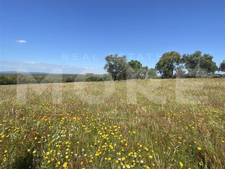Helårsgrund i Viana do Alentejo, Evora - foto 3