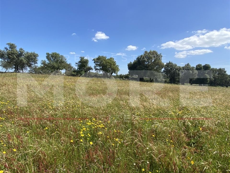 Helårsgrund i Viana do Alentejo, Evora - foto 4
