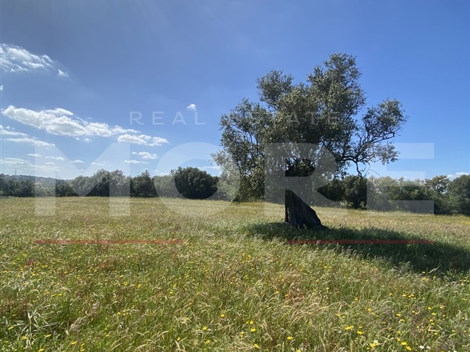 Helårsgrund i Viana do Alentejo, Evora - foto 5
