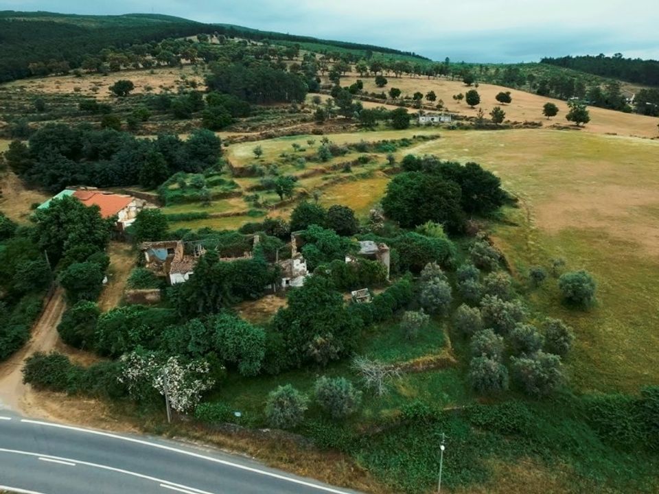 Farm i Tortosendo, Castelo Branco - foto 1