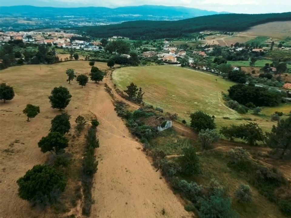 Farm i Tortosendo, Castelo Branco - foto 4