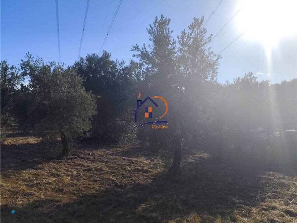 Helårsgrund i Corigliano-Rossano, Cosenza - foto 5
