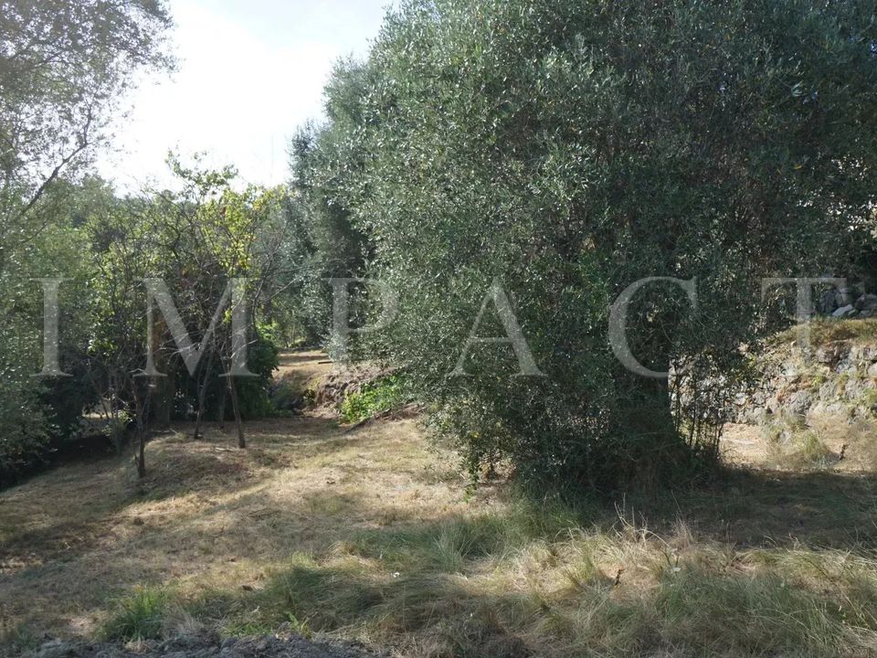 Helårsgrund i Chateauneuf-Grasse, Alpes-Maritimes - foto 3