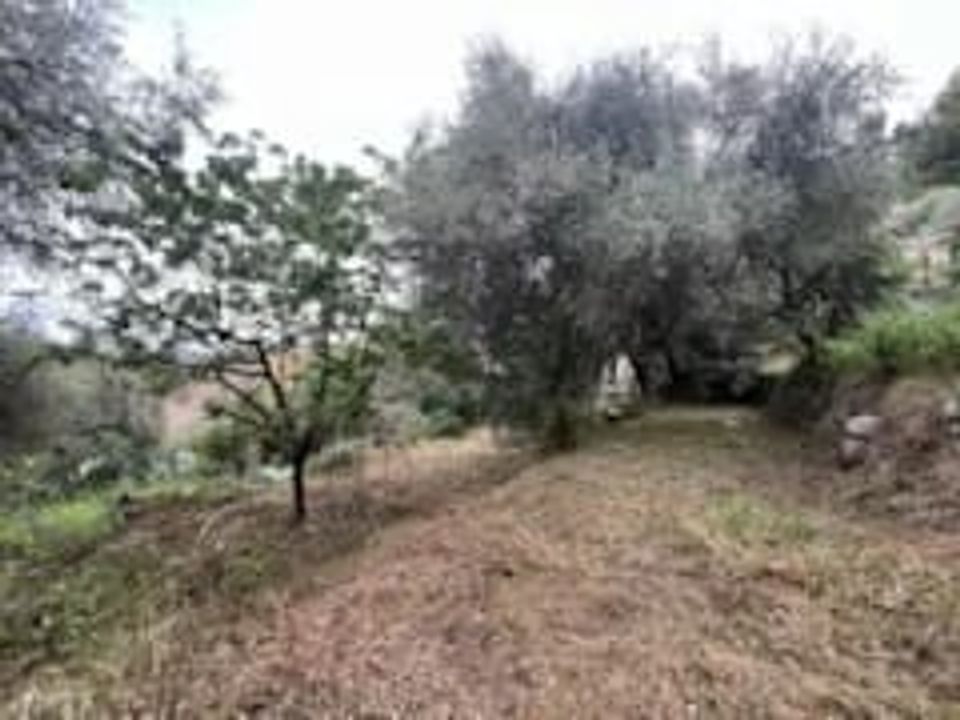 Terra a Bendejun, Alpes-Maritimes - foto 1