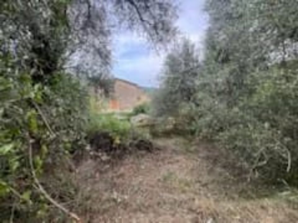 Terra a Bendejun, Alpes-Maritimes - foto 3