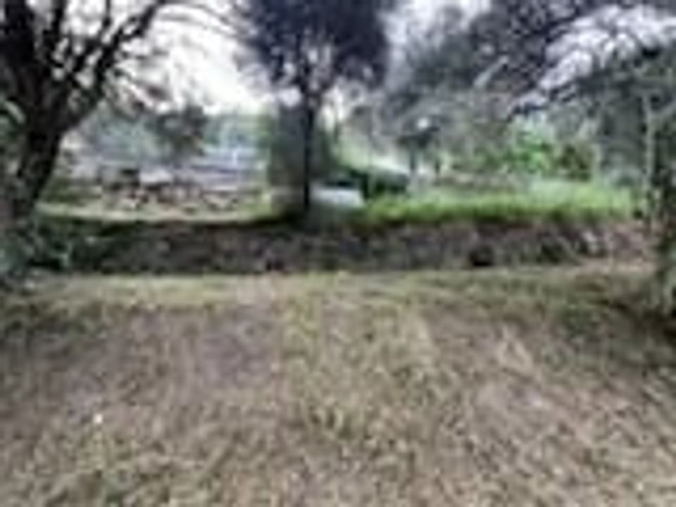 Terra a Bendejun, Alpes-Maritimes - foto 5