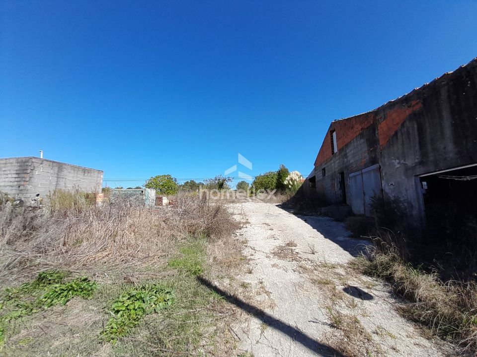 Villa i Soure, Coimbra - foto 3