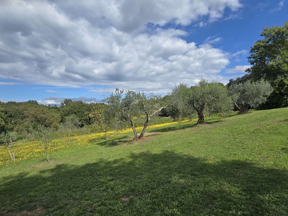 Farm hus i Bibbona, Livorno - foto 4