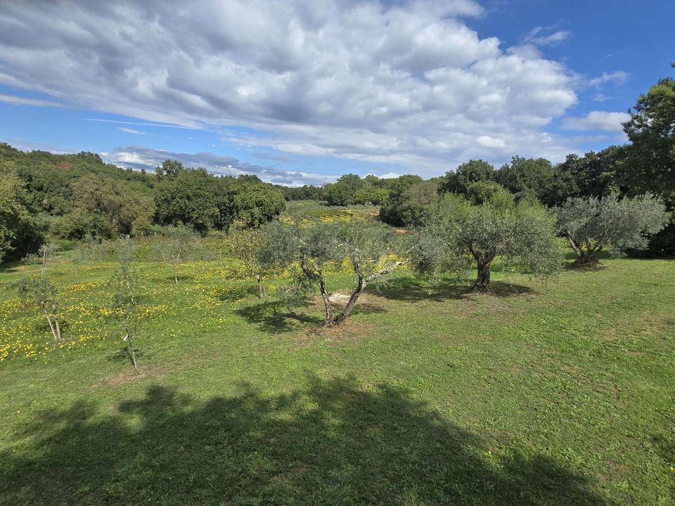 Farm hus i Bibbona, Livorno - foto 5