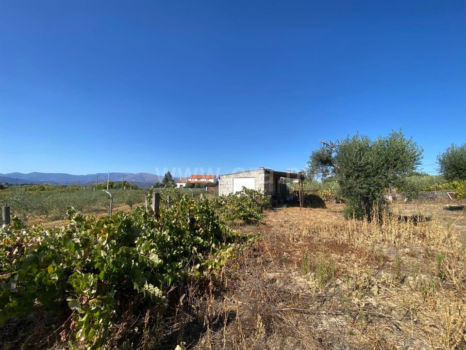 Helårsgrund i Fundao, Castelo Branco - foto 1