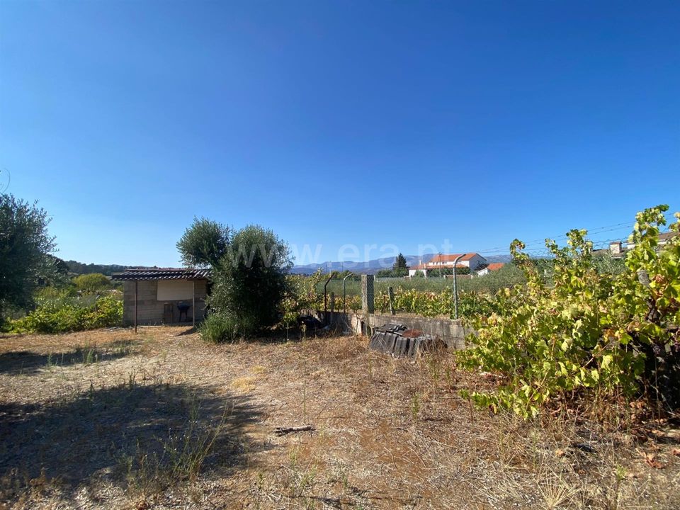 Helårsgrund i Fundao, Castelo Branco - foto 2