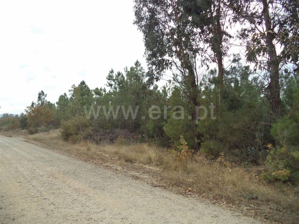 Helårsgrund i Fundao, Castelo Branco - foto 2