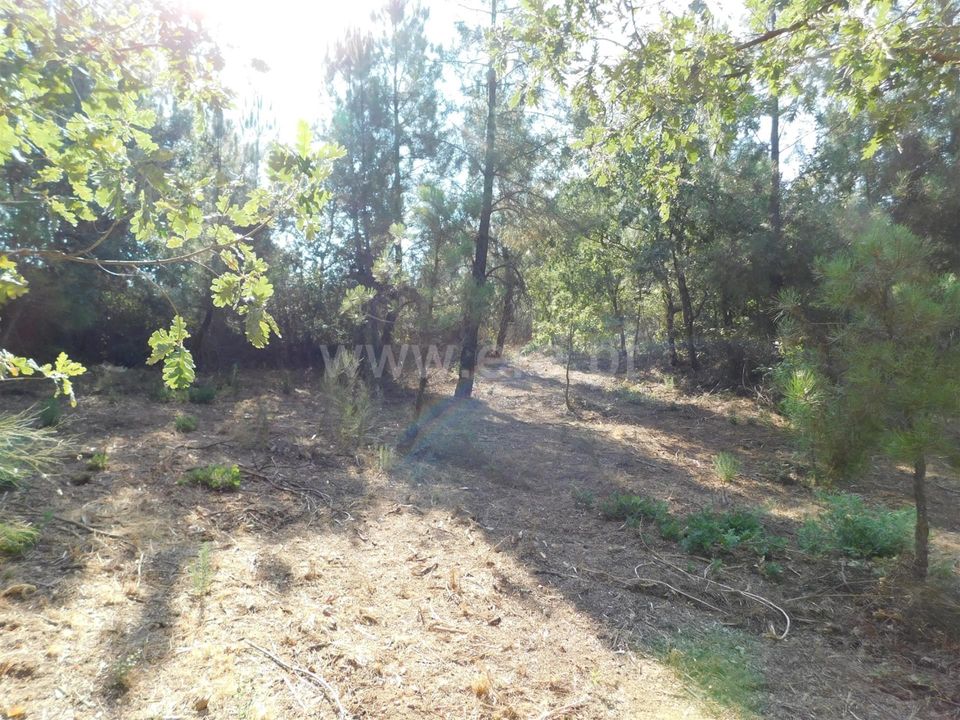 Helårsgrund i Fundao, Castelo Branco - foto 5