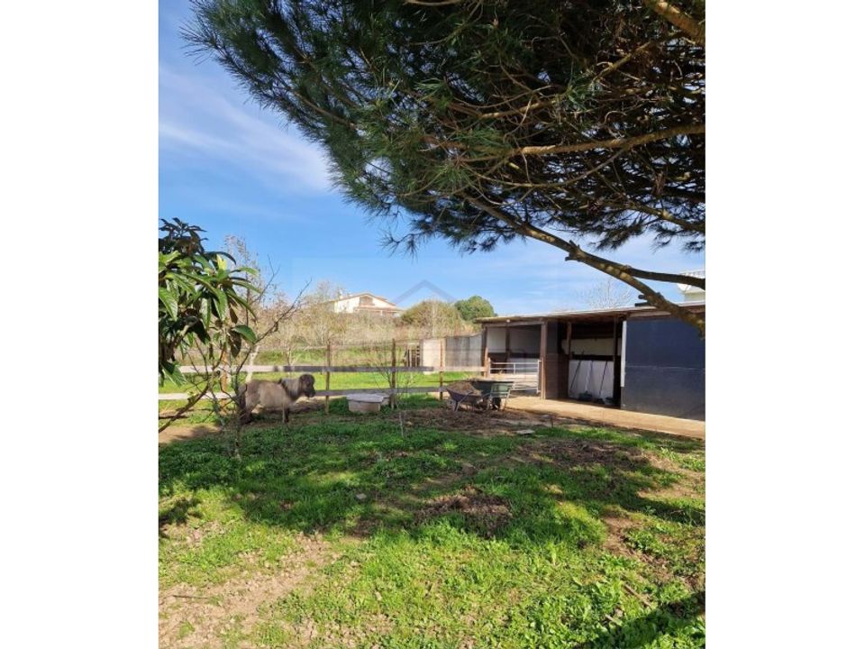 Villa i Bombarral, Leiria - foto 4