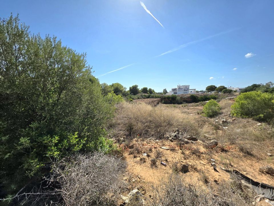 Helårsgrund i Cala d'Or, Mallorca - foto 3