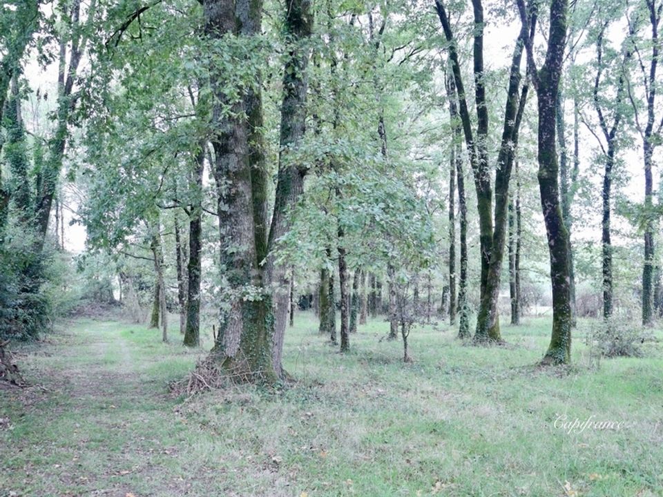 Villa i Puy-De-Serre, Vendee - bilde 3