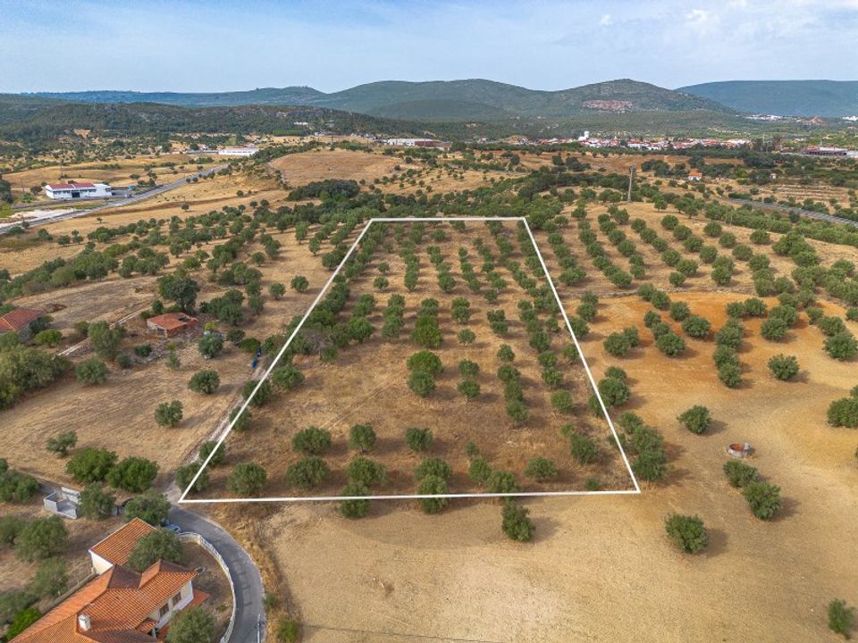 Helårsgrund i Alcanena, Santarem - foto 2