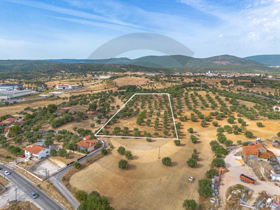 Helårsgrund i Alcanena, Santarem - foto 4