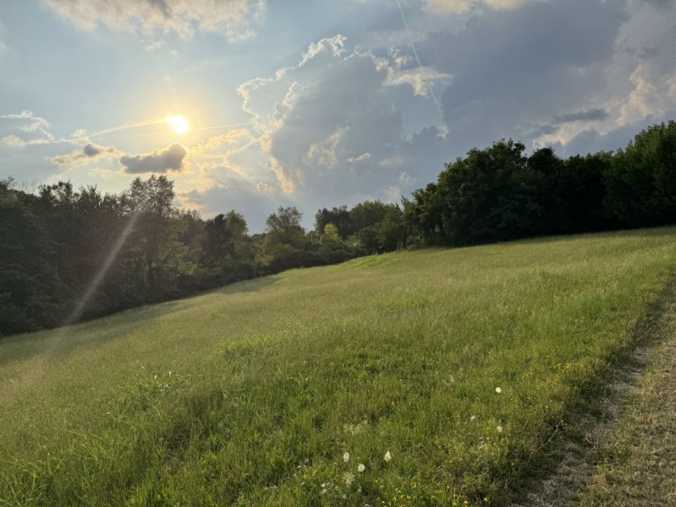 Herregård i Thiene, Vicenza - bilde 2