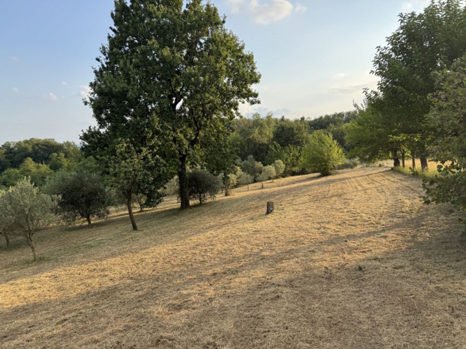 Herregård i Thiene, Vicenza - bilde 3
